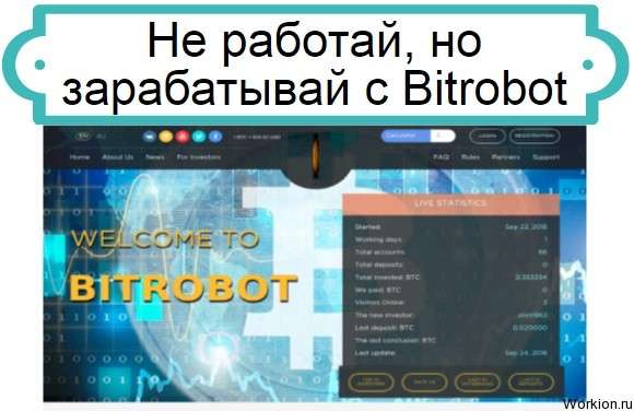 Bitrobot