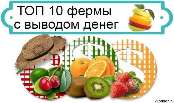 фермы с выводом денег