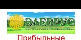 Інвестиції в Elevrus