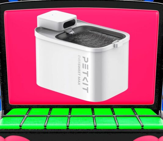 Petkit Eversweet Max 2 зараз знищується 23 долари