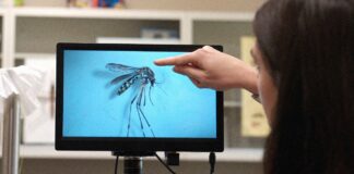 Недавние Прорывы в Науке и Природные Явления