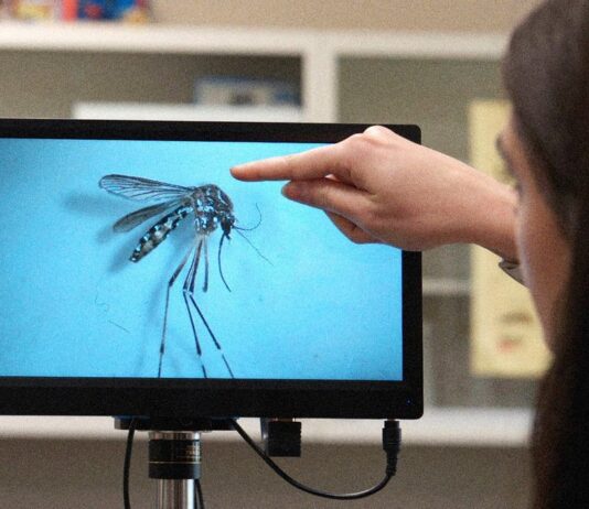 Недавние Прорывы в Науке и Природные Явления