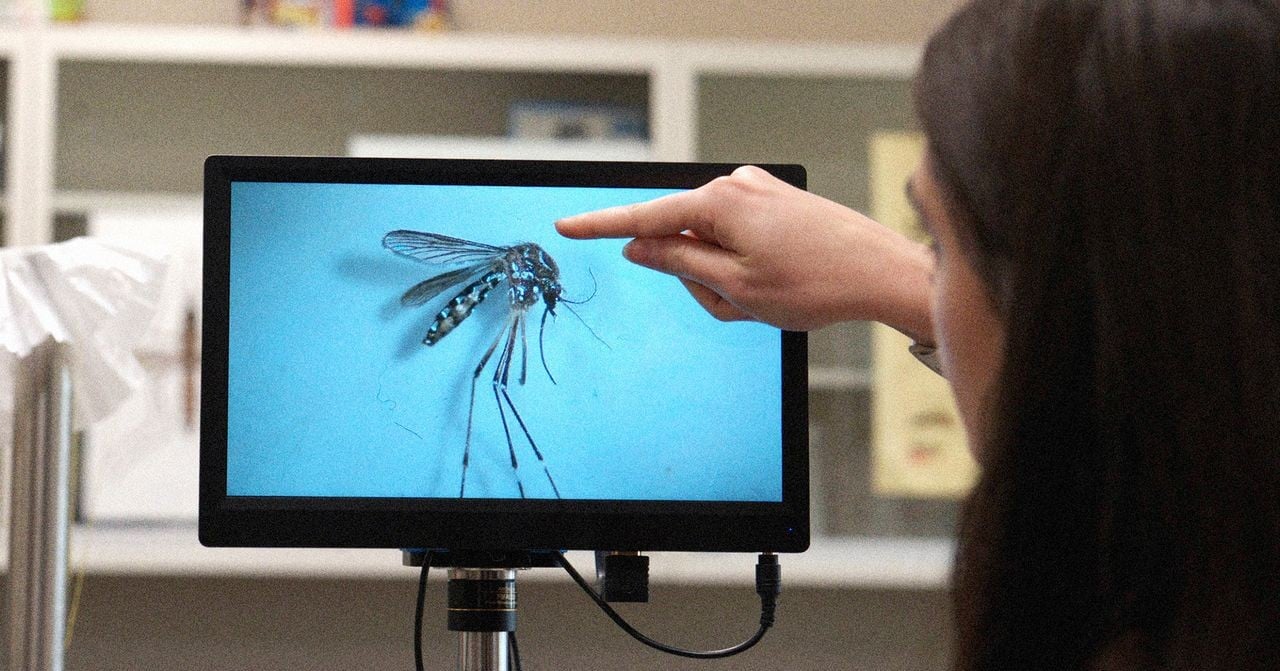 316867f9-fe7c-44b5-8333-9579a2edf2d4