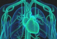 Передовые научные открытия: достижения и проблемы во многих областях