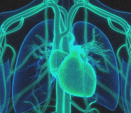 Передовые научные открытия: достижения и проблемы во многих областях