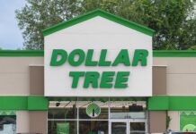 Compras inteligentes dentro do orçamento: como a Dollar Tree pode salvar muito os aposentados