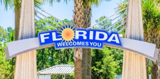 Ринок житла перед невизначеністю у 2026 році: глибокий аналіз падіння цін