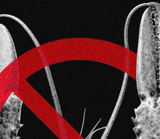 Технологічні компанії обмежують доступ до AI OpenClaw через проблеми безпеки