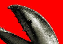 Шалений попит на OpenClaw у Китаї: Золота лихоманка для технологічних гігантів