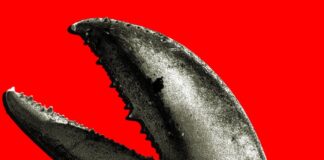 Шалений попит на OpenClaw у Китаї: Золота лихоманка для технологічних гігантів