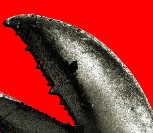 Шалений попит на OpenClaw у Китаї: Золота лихоманка для технологічних гігантів