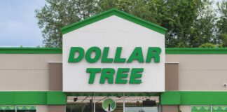 Розкіш від Dollar Tree навесні 2026: Шість товарів за менш ніж 8 доларів