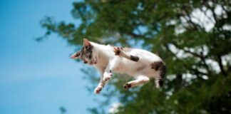 Останні Новини зі Світу Технологій, Науки та Повсякденного Життя: Огляд