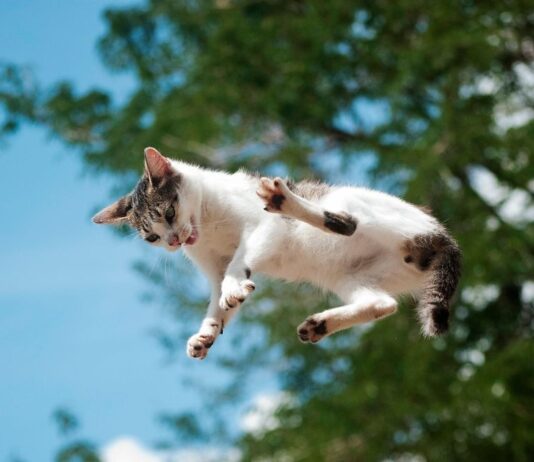 Останні Новини зі Світу Технологій, Науки та Повсякденного Життя: Огляд