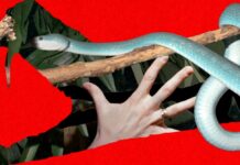 Дайджест новин: від кіберзагроз до проривів у медицині