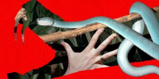 Дайджест новин: від кіберзагроз до проривів у медицині