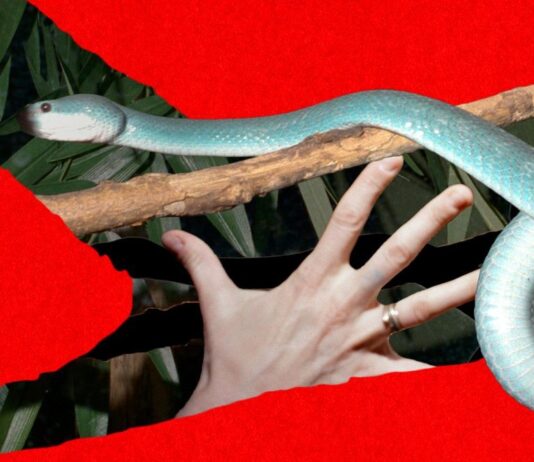 Дайджест новин: від кіберзагроз до проривів у медицині