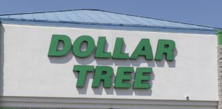 Дивно Доступні Покращення для Дому від Dollar Tree за 5 Доларів та Менше
